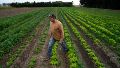 Paca, de Casilda, es una de las experiencias de agricultura regenerativa o agroecología en la región.