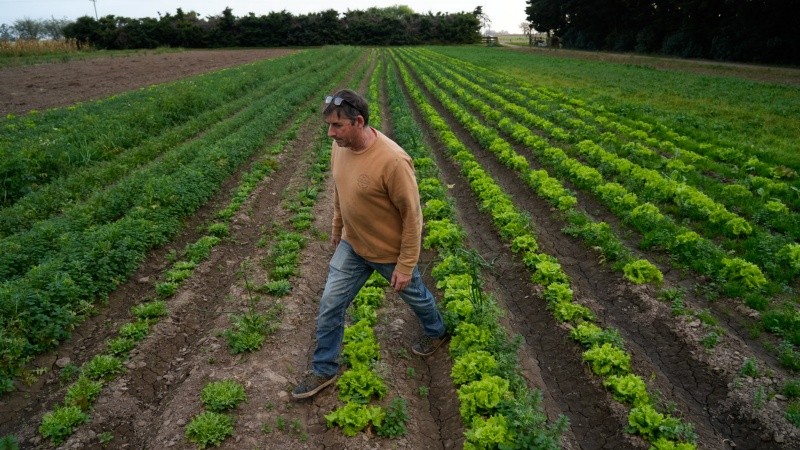 Paca, de Casilda, es una de las experiencias de agricultura regenerativa o agroecología en la región.