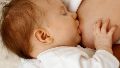 El hallazgo aporta nuevas evidencias sobre cómo la lactancia protege al bebé desde sus primeros días de vida, en el marco de la Semana Mundial de la Lactancia Materna.