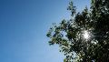 El domingo estará soleado y fresco (Rosario3).