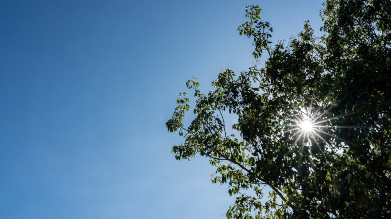 El domingo estará soleado y fresco (Rosario3).