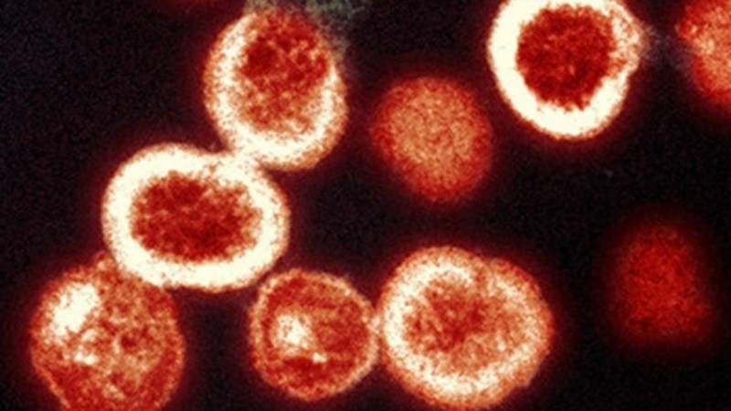El hallazgo abre una nueva vía de investigación para prevenir que el VIH se establezca de manera permanente en el organismo de los recién nacidos.