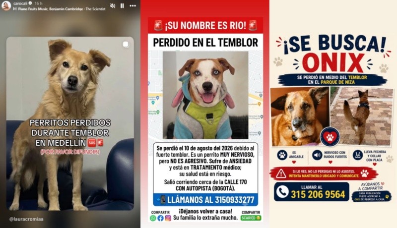 &nbsp;Fuente: Instagram