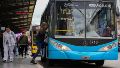 Las mujeres representan 3 de cada 4 de los usuarios del Transporte Urbano.