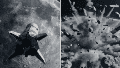 El impacto fue fotografiado por la sonda surcoreana Danuri y por el orbitador LRO de la Nasa.