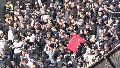 La hinchada del Timao en Rosario.