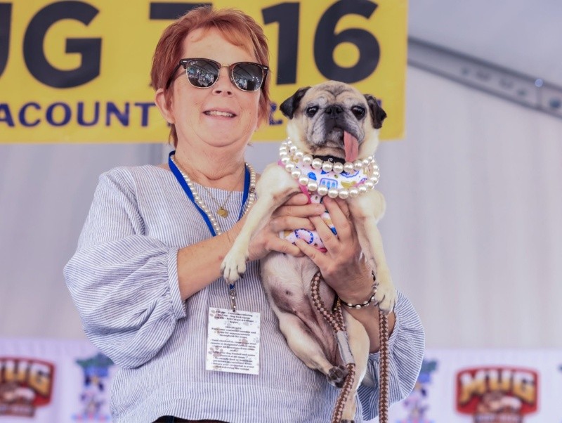La perrita ganadora. Foto: Will Bucquoy.