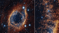 El hallazgo accidental durante una calibración que reveló el eslabón perdido del ciclo de vida de las estrellas.