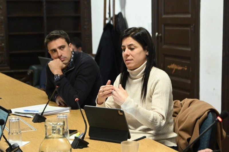 &nbsp;La comisión de Control, Convivencia y Seguridad Ciudadana en la reunión de este miércoles.