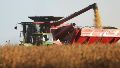 El agro empujó la actividad en junio junto a minería e hidrocarburos.