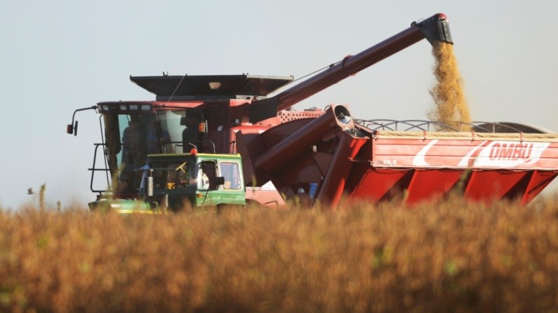 El agro empujó la actividad en junio junto a minería e hidrocarburos.