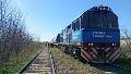 Por ese sector circulaba una formación de la línea Mitre de Trenes Argentinos Cargas.