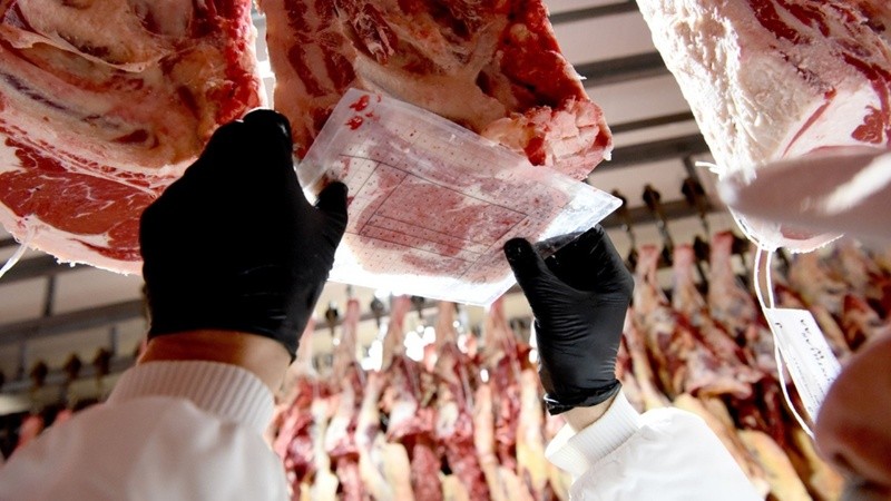 El ingreso de divisas por exportaciones de carne vacuna se incrementó más de un 40% este año.