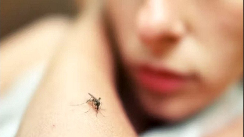 En el marco de la estrategia de prevención de la enfermedad, la vacuna contra el dengue demostró una alta eficacia de protección.