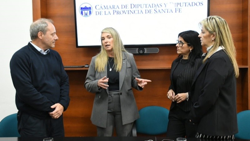 El diputado provincial Germán Scavuzzo presentó un proyecto de ley que busca regular las cobranzas extrajudiciales de deudas de consumo en Santa Fe.