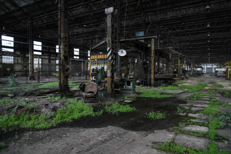 Misma nave 100 años después. La vegetación gana terreno en los galpones vacíos.&nbsp;