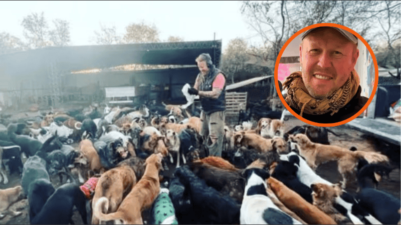 El refugio llegó a albergar más de 400 perros y tenía unos 250 animales bajo su cuidado al momento de su muerte.