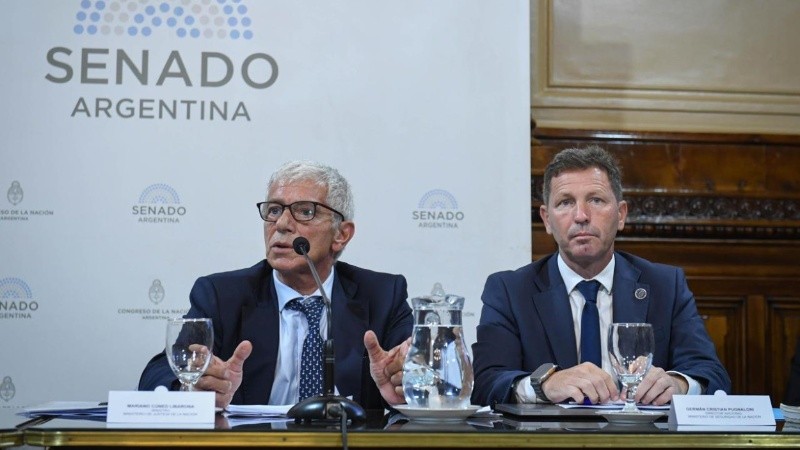 Pugnaloni junto al ex ministro Cúneo Libarona en el Senado de la Nación&nbsp;