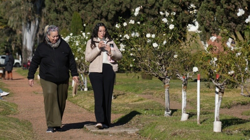 Las bajas temperaturas dan paso a los días soleados y primaverales