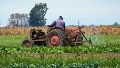 El establecimiento P.A.CA está ubicado en la zona rural de Casilda.