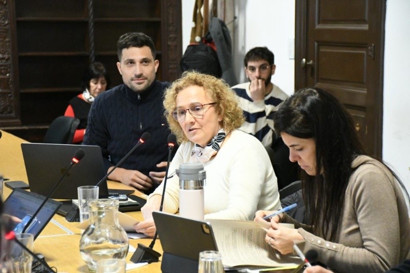 La concejala había defendido su proyecto en comisiones.&nbsp;