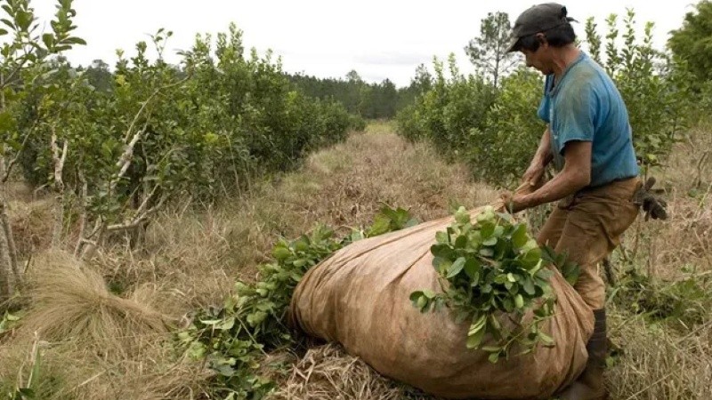 Misiones vivirá un sábado movido.