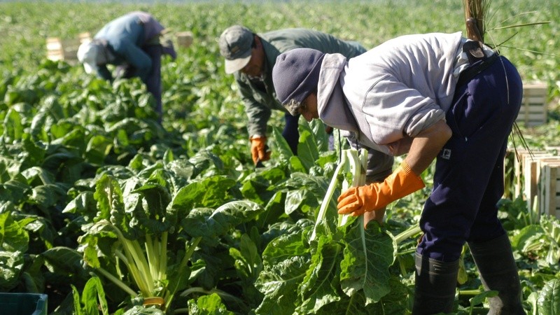Trabajadores rurales advierten que hay 120 mil puestos laborales en riesgo por el vencimiento de un decreto nacional.