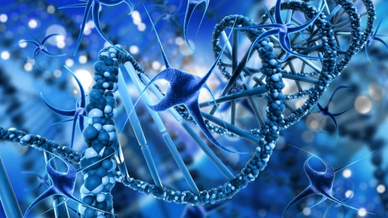 Especialistas destacan la importancia del diagnóstico molecular y del abordaje multidisciplinario para mejorar la calidad de vida de los pacientes.