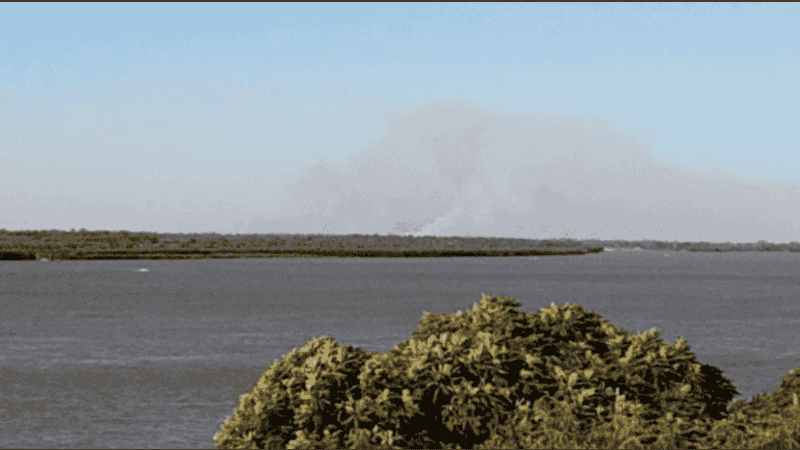 El fuego volvió a las islas y crece la preocupación por la fauna autóctona.