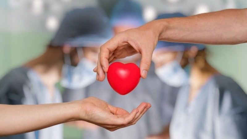 Reflexionar sobre la acción de donar como un mero acto altruista