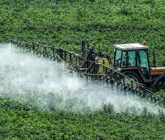 La mayor proporción de hectáreas sembradas por habitante y el consecuente uso de agroquímicos se asoció con un incremento en las tasas de mortalidad infantojuvenil por cáncer.