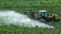 La mayor proporción de hectáreas sembradas por habitante y el consecuente uso de agroquímicos se asoció con un incremento en las tasas de mortalidad infantojuvenil por cáncer.