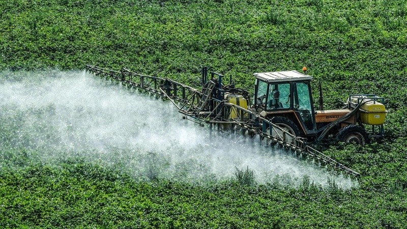 La mayor proporción de hectáreas sembradas por habitante y el consecuente uso de agroquímicos se asoció