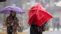El municipio solicitó a la población que durante las tormentas no circule por la calle salvo que sea necesario