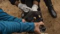 El país lleva más de cinco décadas sin registrar casos humanos de rabia transmitida por perros.