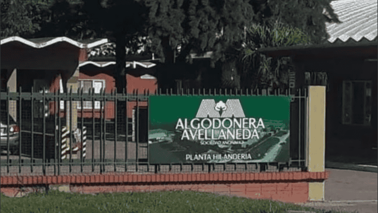 Cram down en Algodonera Avellaneda: se abre la última instancia legal para evitar la quiebra de la firma