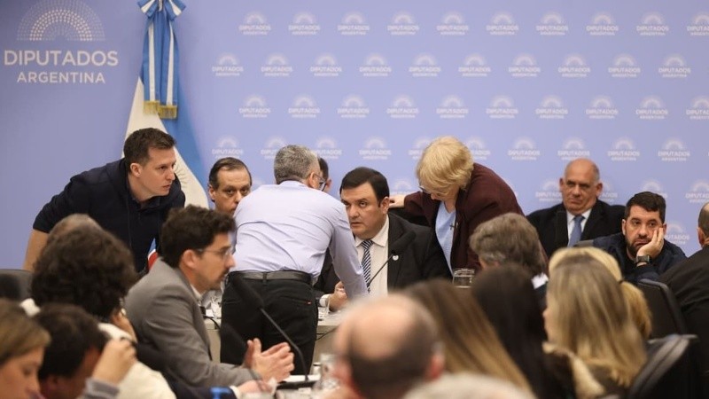 Diputados opositores reclamaron la prórroga de la emergencia en discapacidad y cuestionaron cambios plasmados en el Presupuesto 2027.
