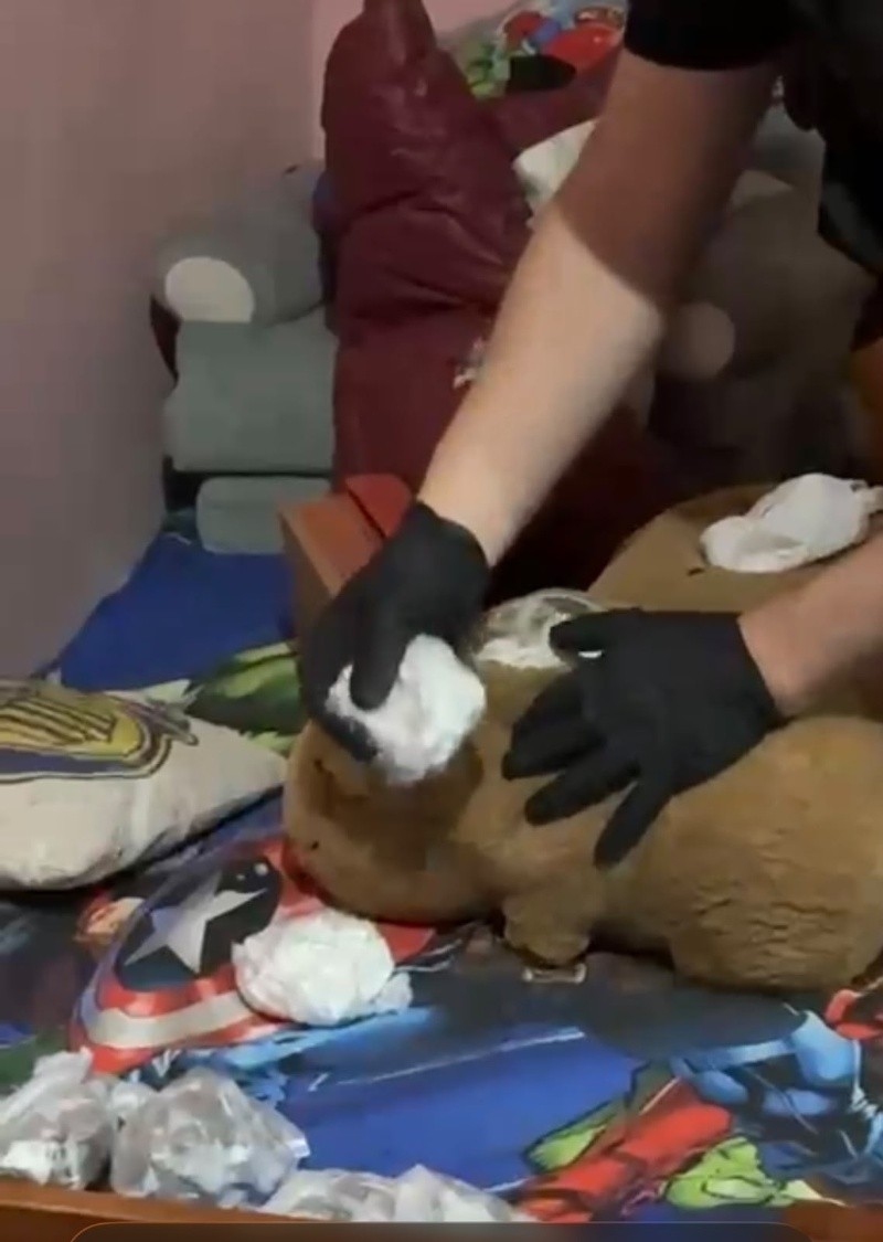 El narcocapibara, dato de color del allanamiento.