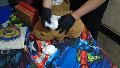 El bagullo de cocaína, oculto en un peluche capibara.