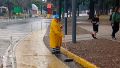 Se refuerza la recolección de residuos diseminados en calles, veredas y espacios públicos, la limpieza de bocas de tormenta y el servicio de barrido en distintas zonas de la ciudad.