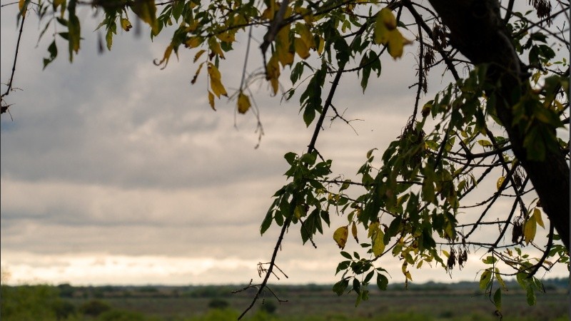 Un cielo gris de primavera (Archivo)