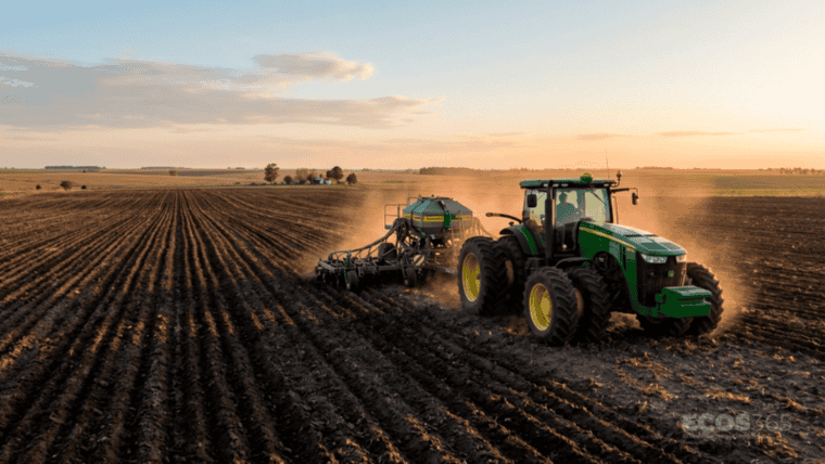 Claves económicas de la primavera 2026: los negocios de la región que se activan con el calor