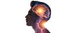 El cerebro humano está en permanente transformación.
