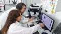 En el IBR, el equipo liderado por Cecilia Mansilla utiliza Caenorhabditis elegans para estudiar el metabolismo lipídico.