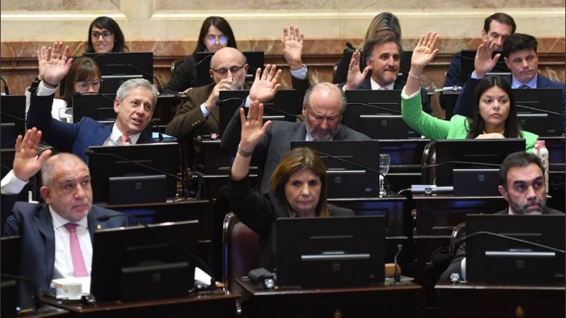 El interbloque libertario y algunos aliados en la sesión de esta tarde en la Cámara alta (Prensa Senado).