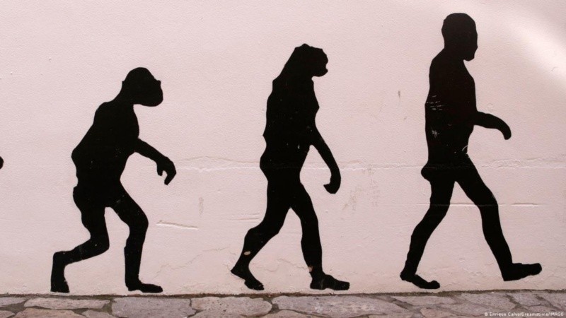 La transformación evolutiva podría haber tenido un costo inesperado.
