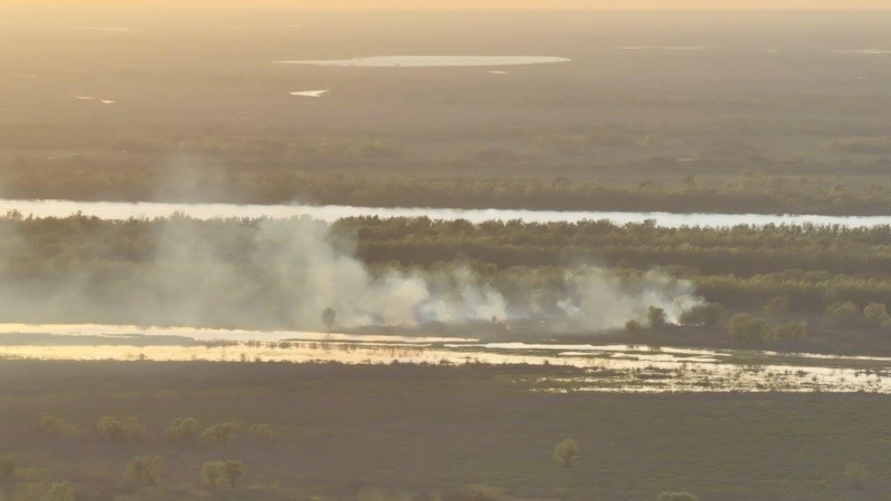 La zona de isla donde se originó el incendio. (Bomberos Voluntarios Rosario)