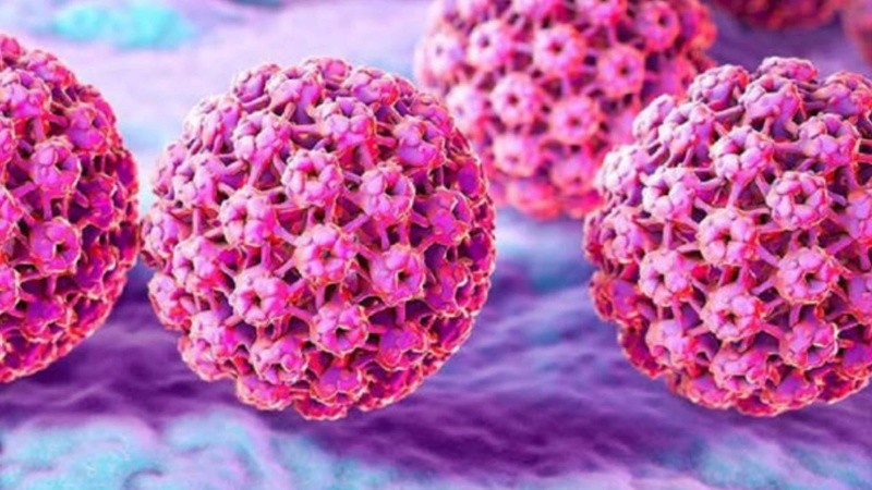 La vacuna, el preservativo y los controles periódicos son herramientas clave para prevenir infecciones y detectar lesiones antes de que puedan evolucionar a cáncer.