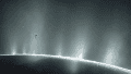 Un microbio terrestre resiste en un océano recreado de Encélado.