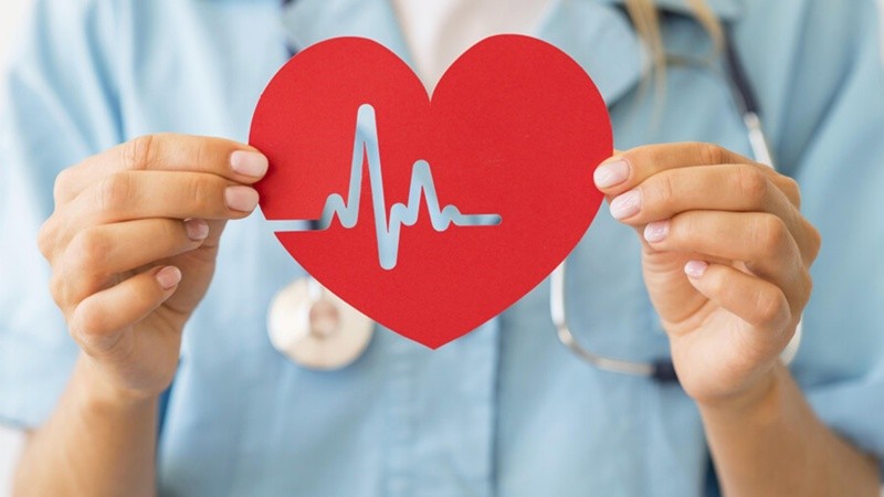 El corazón es el primer órgano funcional que se forma durante el desarrollo embrionario.